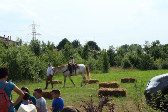 Oasi degli Amici Animali